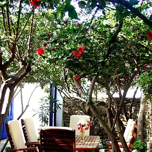 Hotel Matina